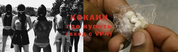ПСИЛОЦИБИНОВЫЕ ГРИБЫ Магас